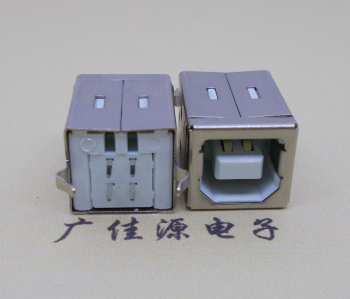 永州USB BF180度母座 打印机接口 立式直插带赛