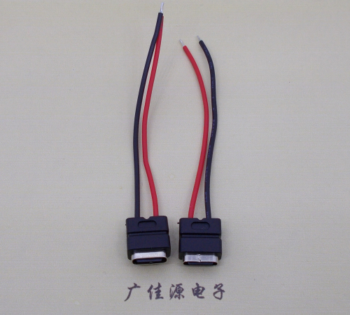 永州type c2p防水母座焊线式带线注塑成型带接线端子/不带接线端子充电连接器