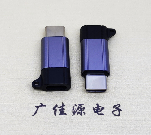 永州Type-C母转Type-C公 USB3.1 PD100W快冲接口